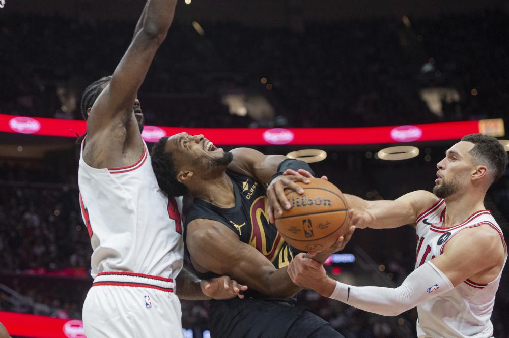 表现不俗 表现不俗